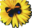 Ulazite u .......
